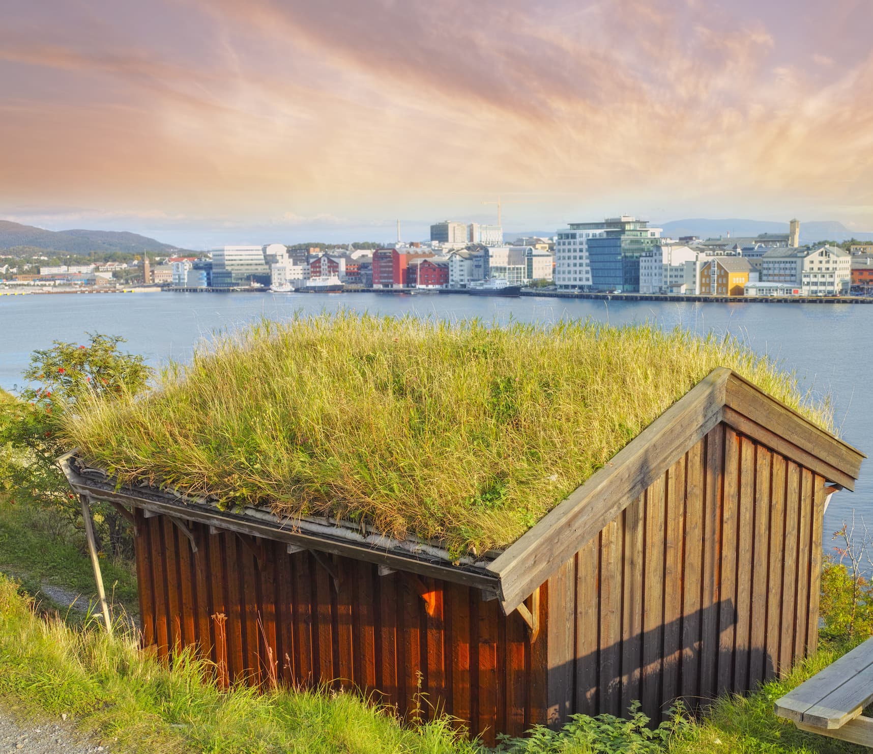 folia izolacyjna do dachów zielonych